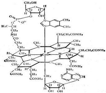 生物无机化学