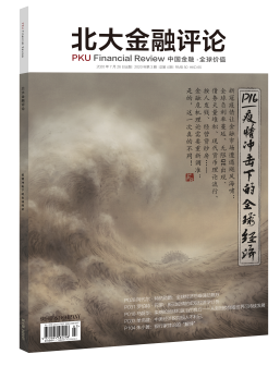 北大金融评论第4期