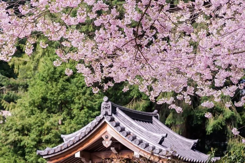 Nitobe Memorial Garden