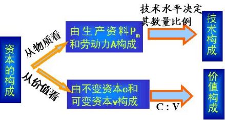 资本的构成