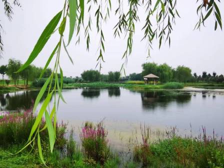 菏泽市风光