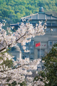 校园环境