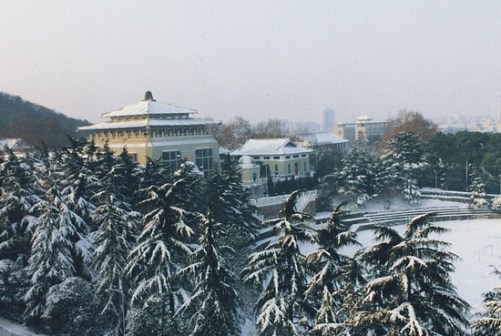 武大美景
