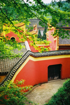 校园风景