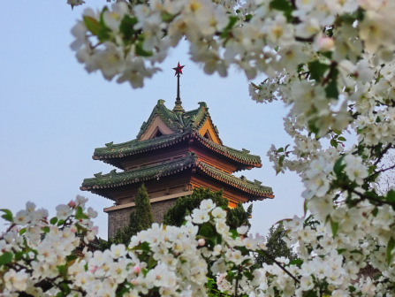 南京农业大学