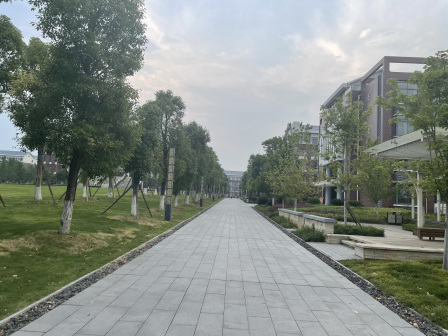 衡师附中