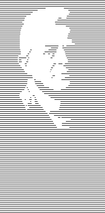 卡尔·尼尔森