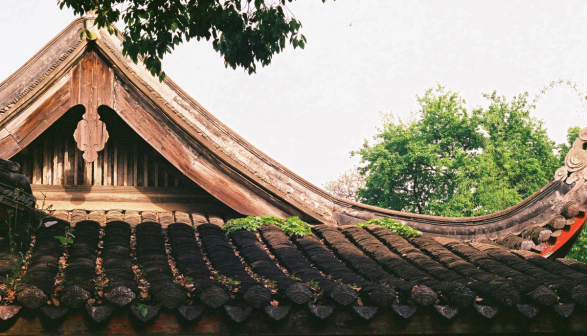 校园风景