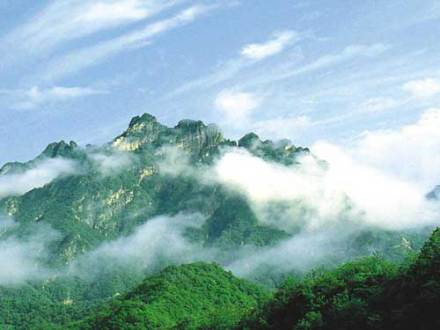 伏牛山风光 