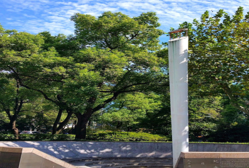 校园景色