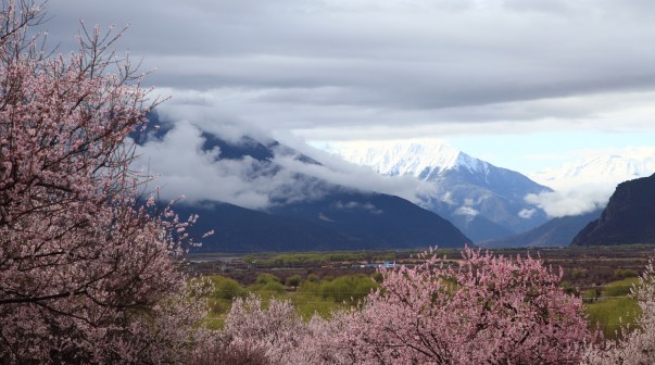 林芝市风光