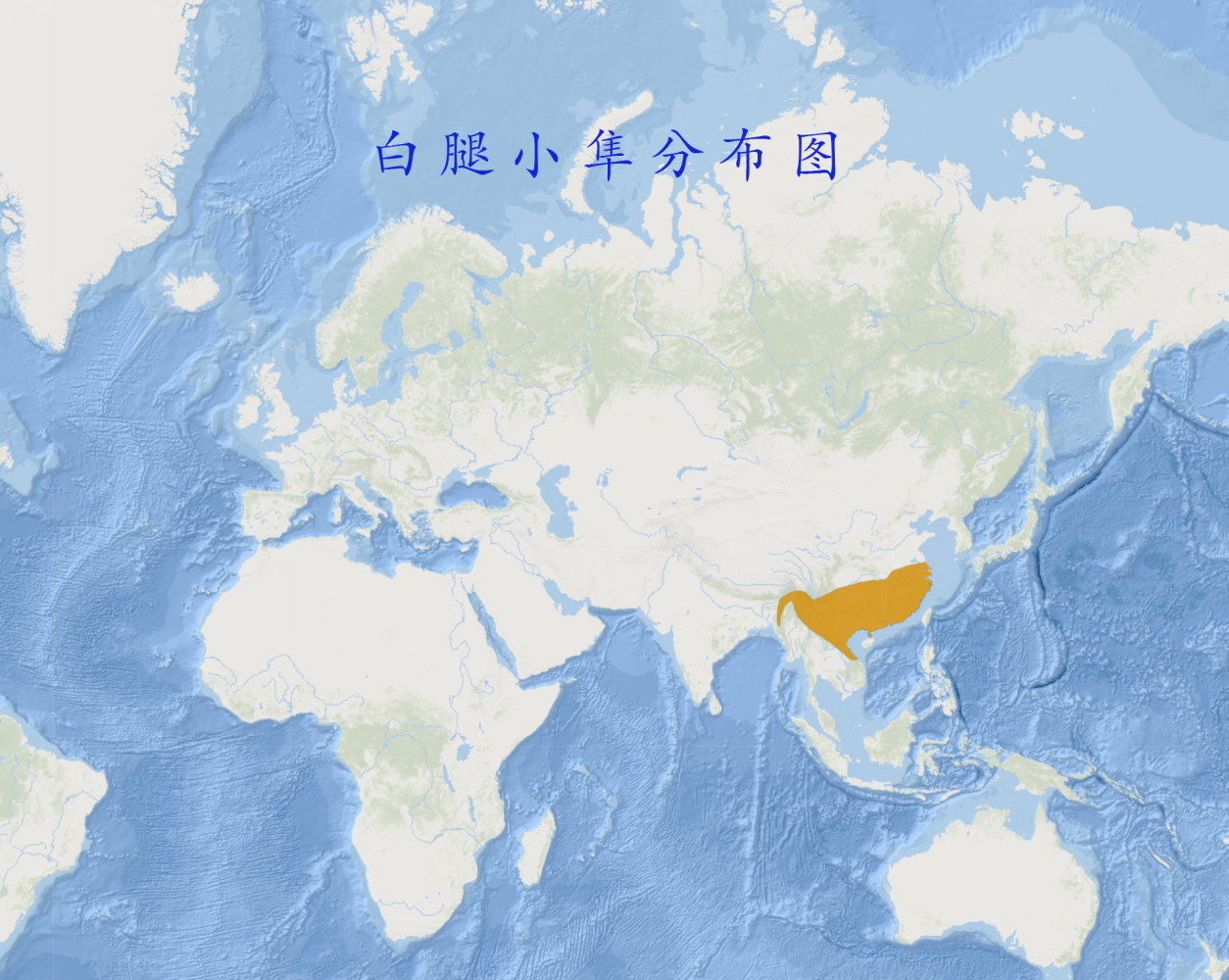 白腿小隼分布图 