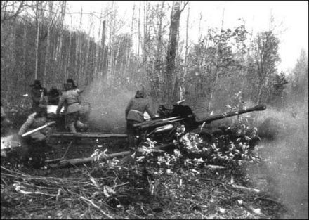 中国炮兵在打击入侵的苏军
