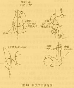 图1 肩关节外展活动