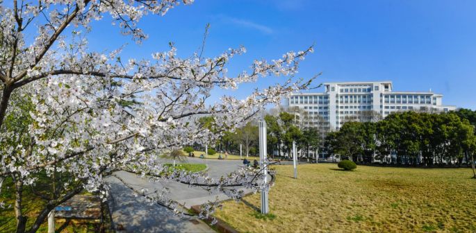 春日华师