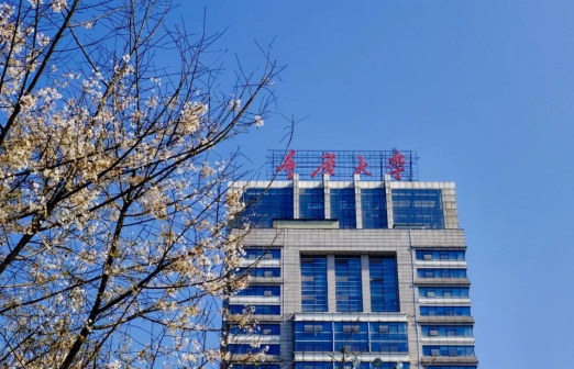 五彩重大