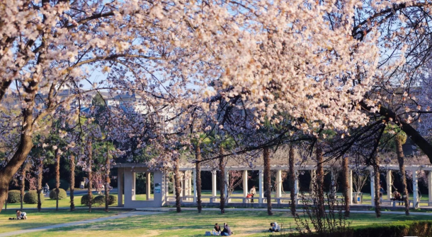 南京农业大学