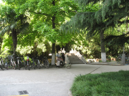 同济大学校园风景图五