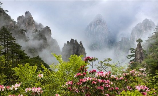黄山之春