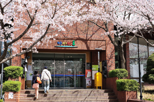KAIST
