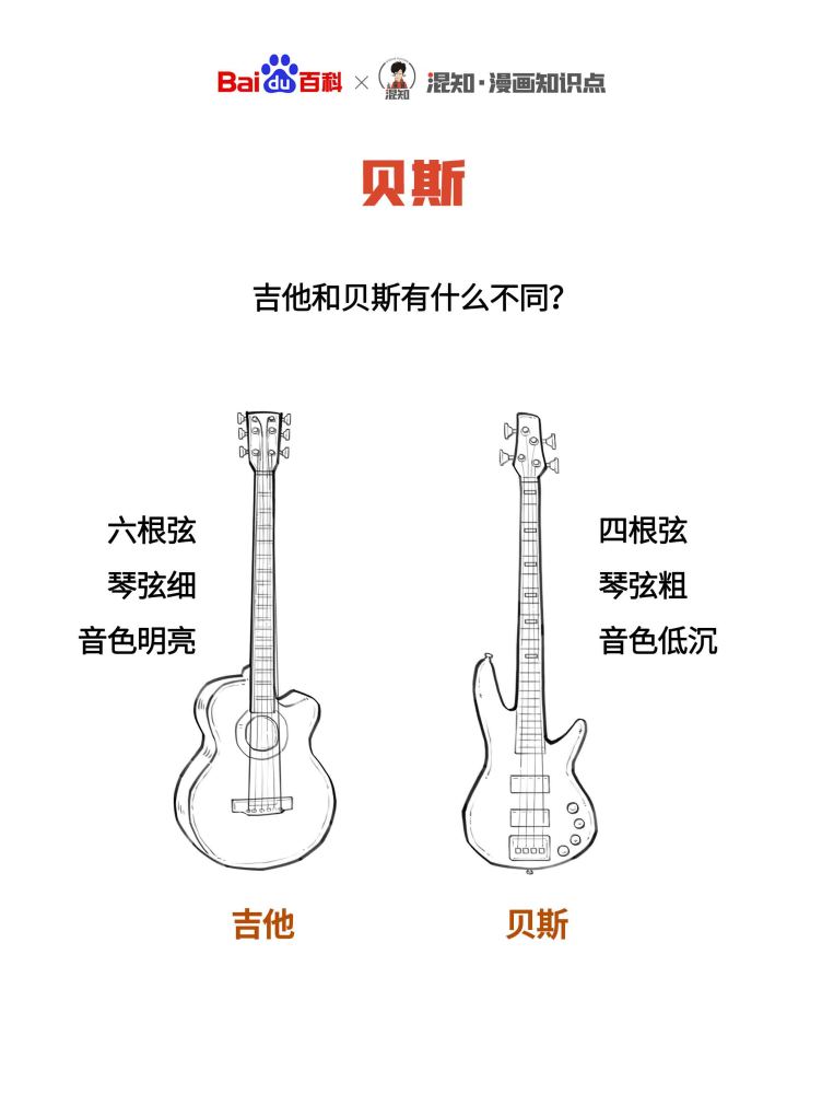 百科x混知：图解贝斯