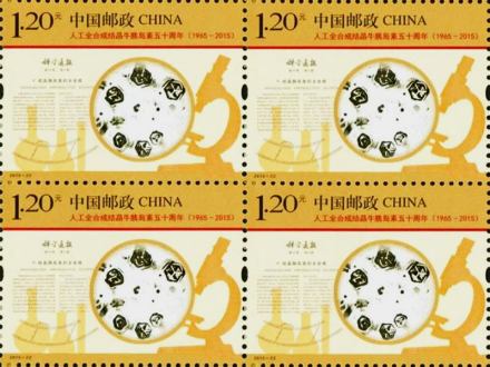 中国首次人工合成结晶牛胰岛素