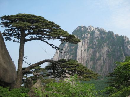 黄山