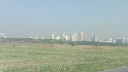 建设路街道风景