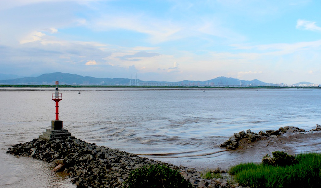 厦门湾西部九龙江河口水域