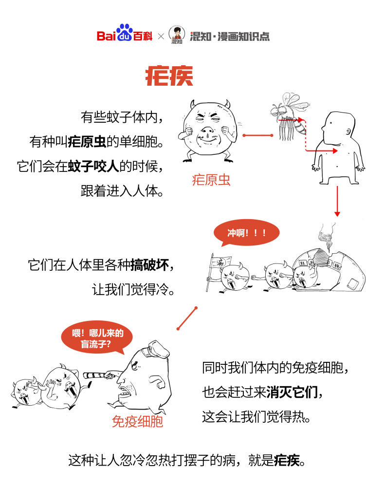 百科×混知：图解疟疾