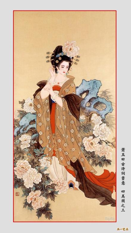 杨玉环