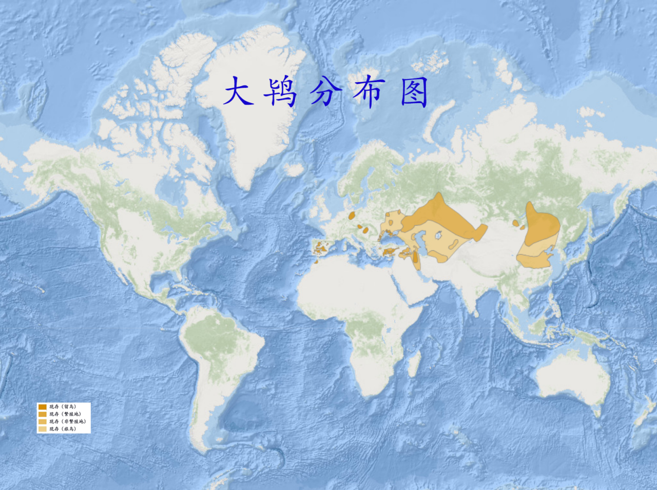 大鸨分布图 