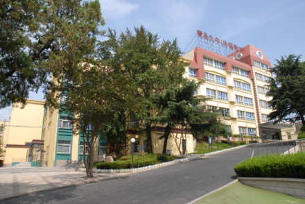 上海路校区白果楼、丁香楼