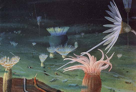 奇特的海底景观和固著底栖生物群落