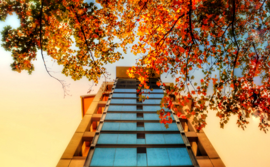 南京农业大学