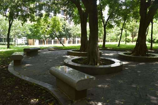 广州市华南理工大学（大学城校区）