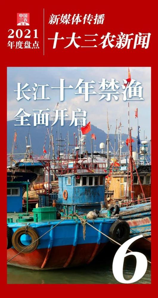 2021年度新媒体传播十大三农新闻