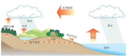 水循环示意图