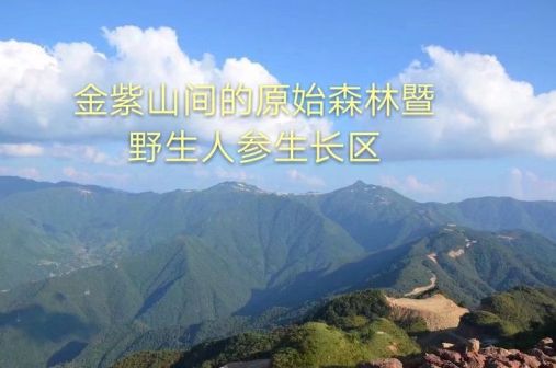 图来自美篇用户湘桂第一峰