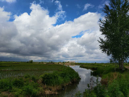 风景
