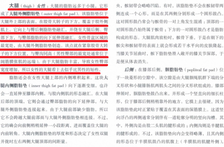 女性的大腿看上去似乎比男性的短些 