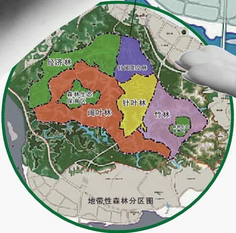 绿心核心区内植被分布示意图