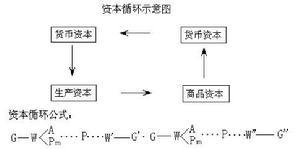 资本循环