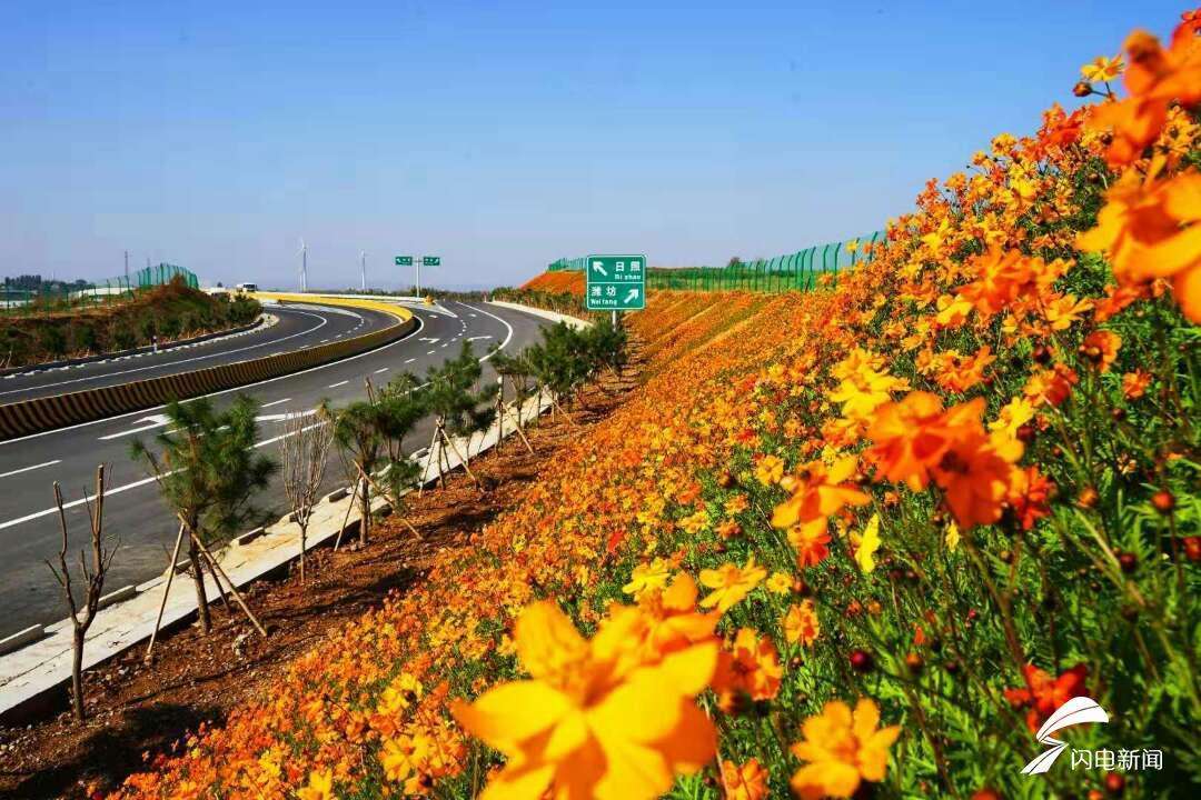 潍日高速日照段