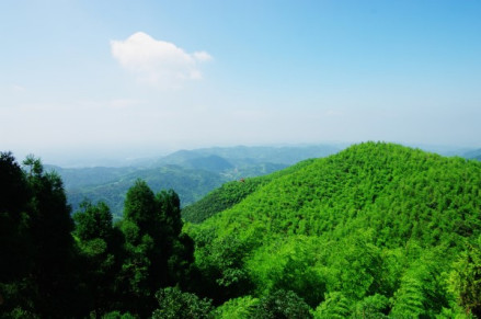 长沙黑麋峰国家森林公园