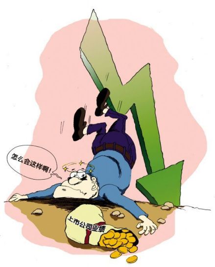 2008年上市公司业绩