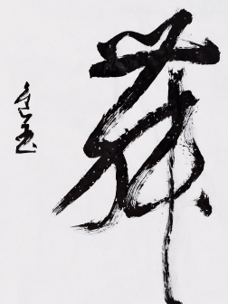 王进玉（中国书法网供图）