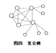 图四 复合网 