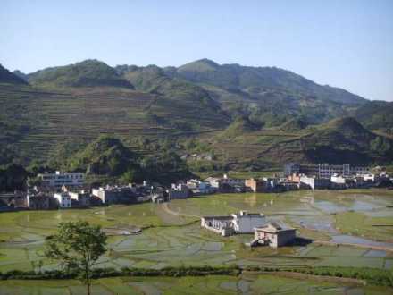 俯瞰图