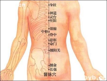 命门 